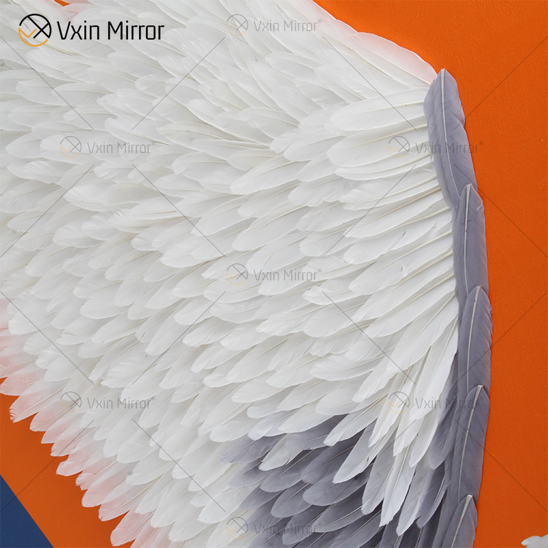 Plumas mujer lienzo abstracto pintura pared arte WXPP-75 póster impreso cuadro pintura decorativa sala de estar decoración del hogar