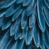 La pintura de flores Vxin WXPA-01 más nueva para la decoración del hogar arte de la pared cuadro colgante de plumas de Metal para el juego de sala de estar a la venta