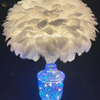 Lámpara de mesa de cristal de plumas preciosas de suministro de fábrica con LED para dormitorio