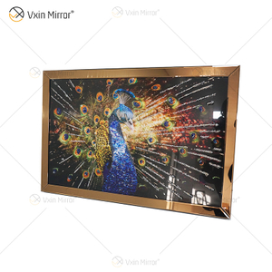 Vxin WXMA-56 pintura de porcelana de cristal resina marco cubierto de pavo real espejo decorativo arte de pared