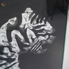 VXin WXMA-22 decoración del hogar marco de vidrio espejado tigre pared arte cristal porcelana pintura espejo pared arte